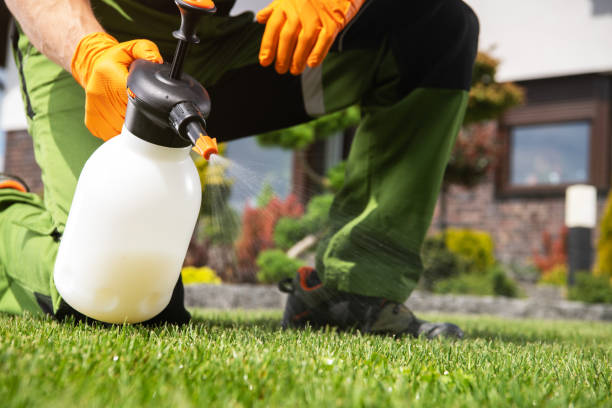 Best Spider Control Near Me  in Oswego, NY