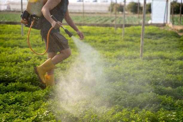 Best Best Pest Control Companies  in Oswego, NY