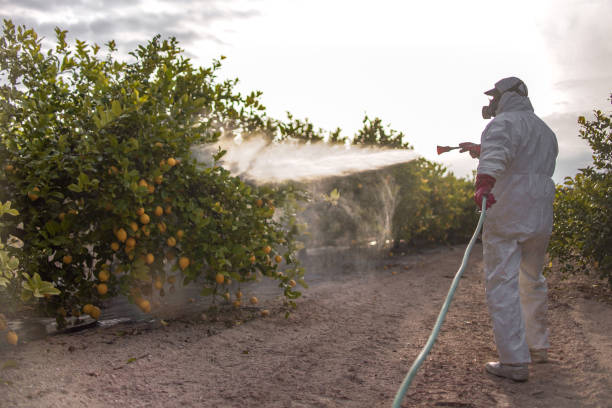 Best Pest Control for Businesses  in Oswego, NY