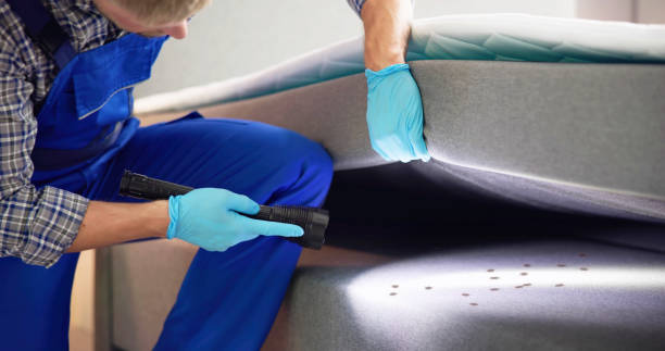Trusted Oswego, NY Pest Control Experts