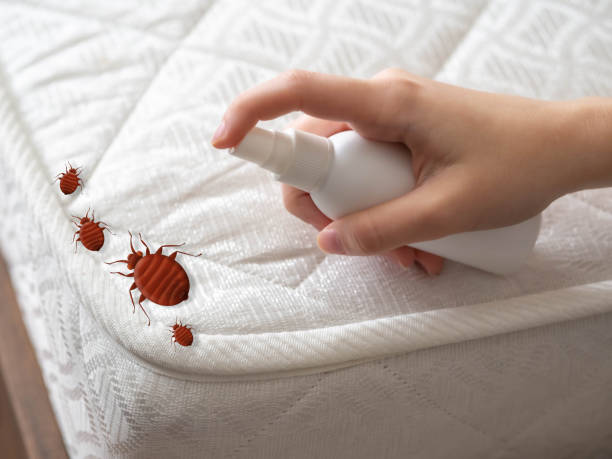 Best Pest Prevention Services  in Oswego, NY