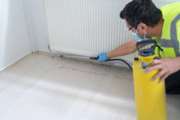 Best Bed Bug Extermination  in Oswego, NY