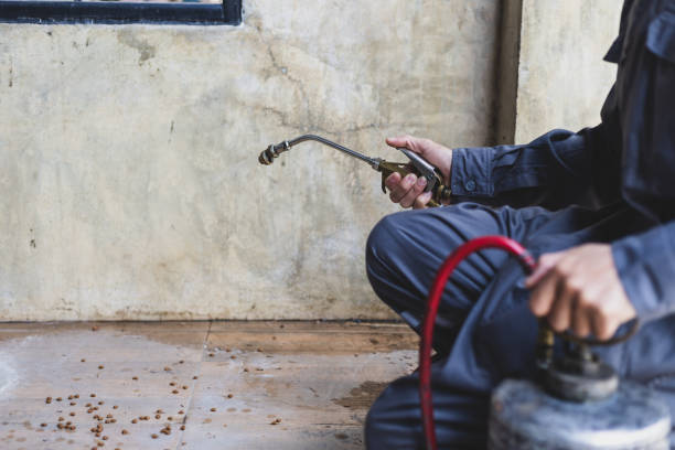 Best Termite Control Services  in Oswego, NY